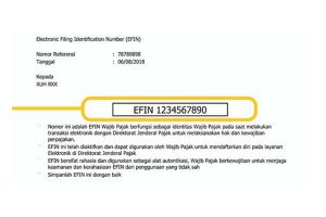 Dapatkan Kode EFIN Sebelum Memulai Lapor Pajak Online