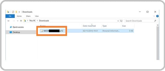 Cara Aktifkan Sertifikat Elektronik e Faktur, Install Sertifikat Digital eFaktur