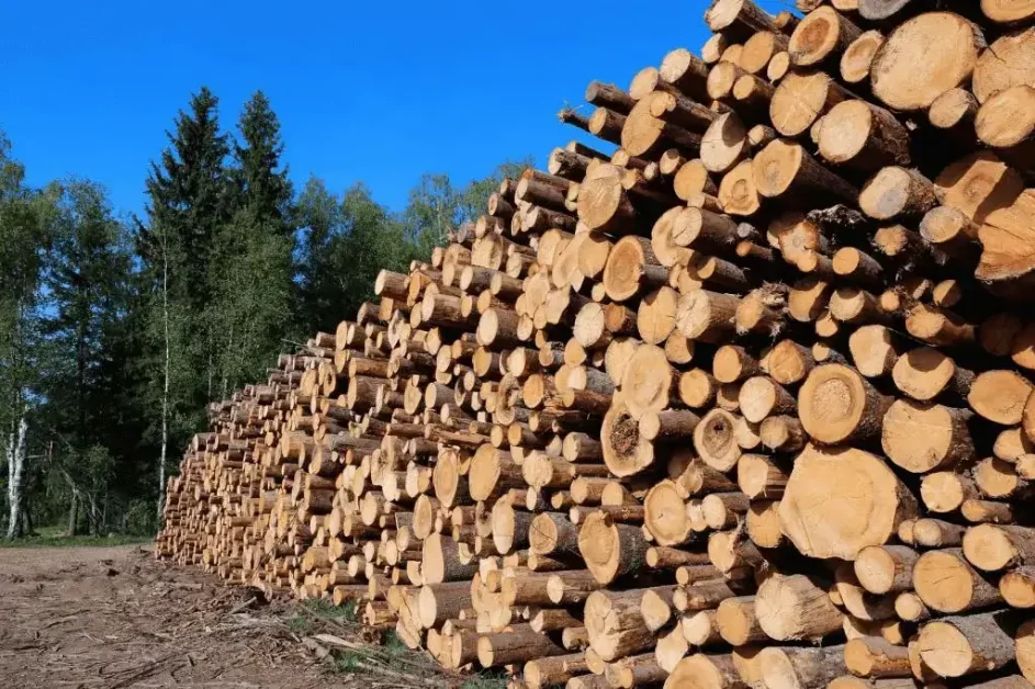 raw material