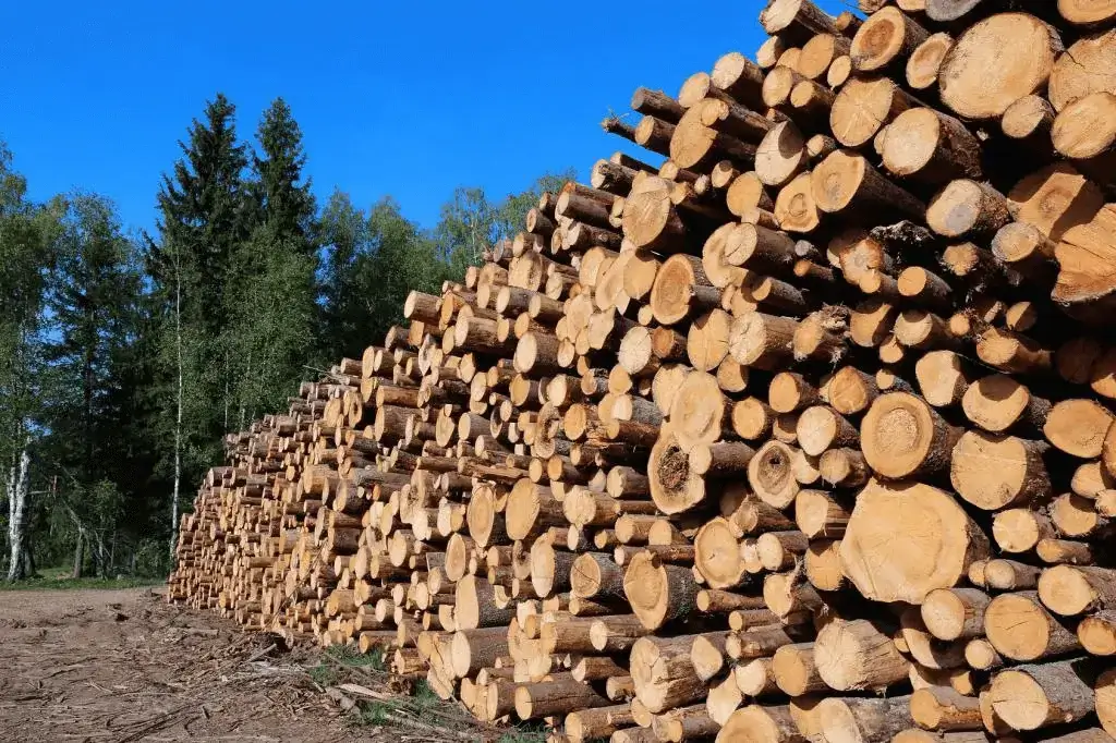 raw material